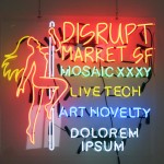 Loughlin_DisruptMarket_2015_edit